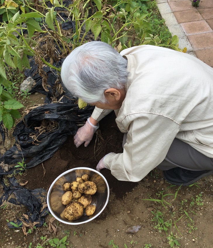 スタッフブログのサムネイル画像