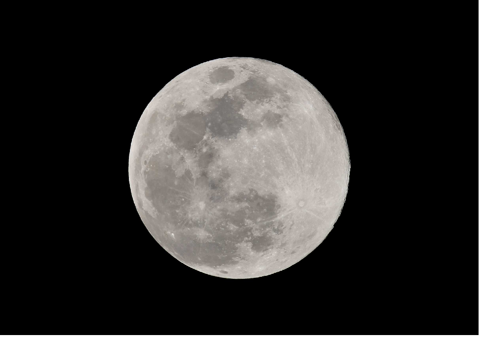 スタッフブログのサムネイル画像