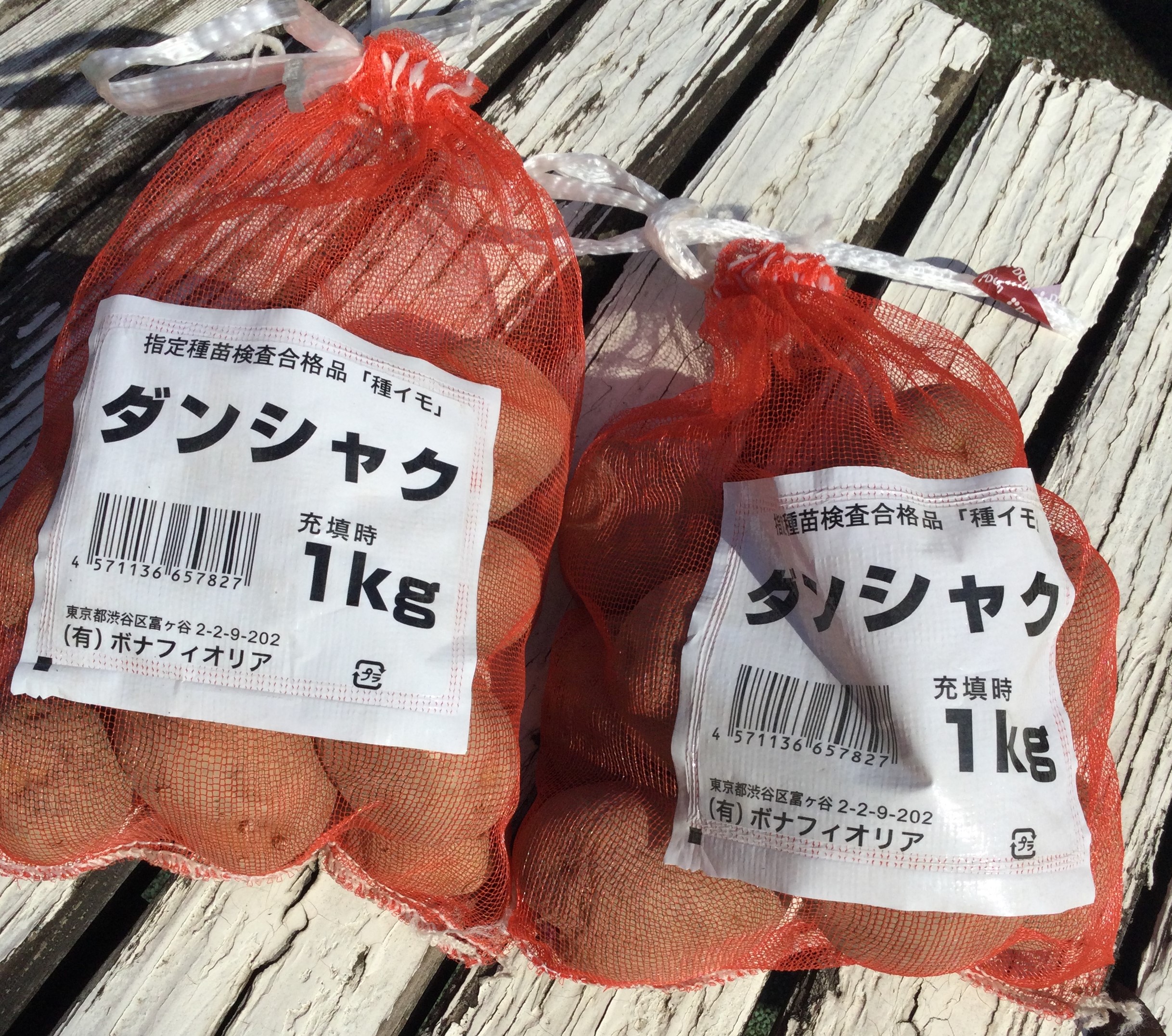 スタッフブログのサムネイル画像